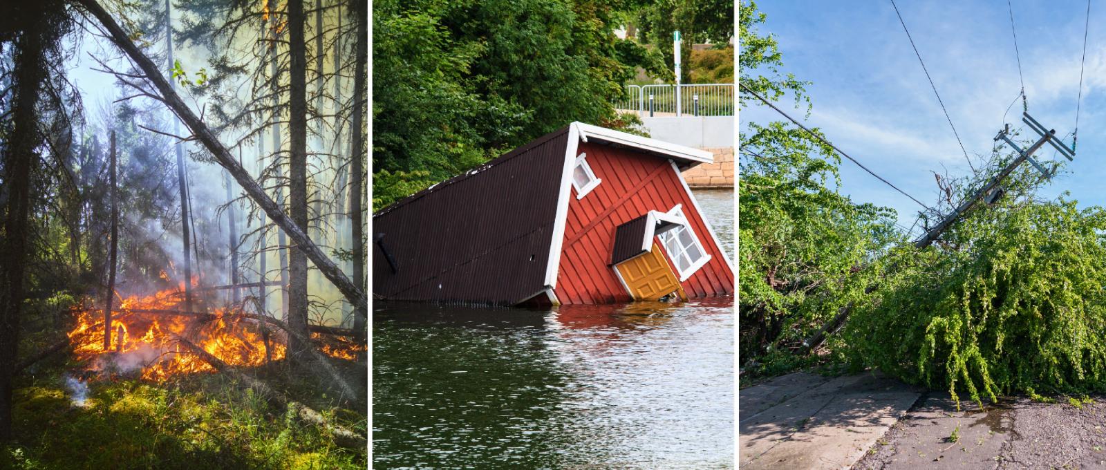 Image of natural disasters such as fires, floods and landslides