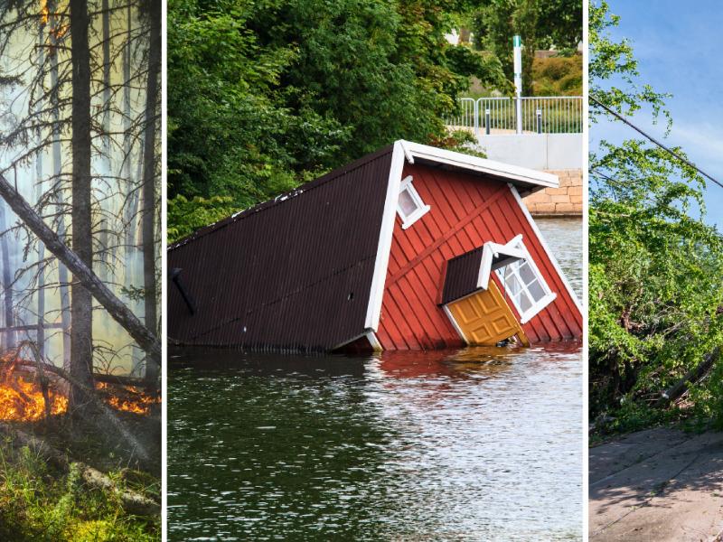 Image of natural disasters such as fires, floods and landslides